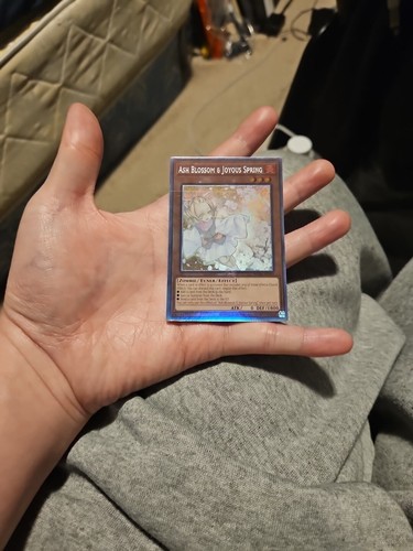 ash blossom & joyous spring rc04-ae009 ghost holographic rare ocg yugioh card - Picture 16 of 24