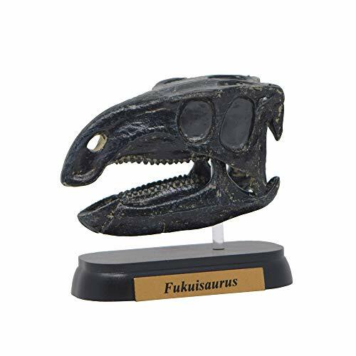 SAURUS ✴︎秘蔵蔵出し品　Wネーム　フィリプソン SAURUS ✴︎秘蔵蔵出し品Wネームフィリプソン