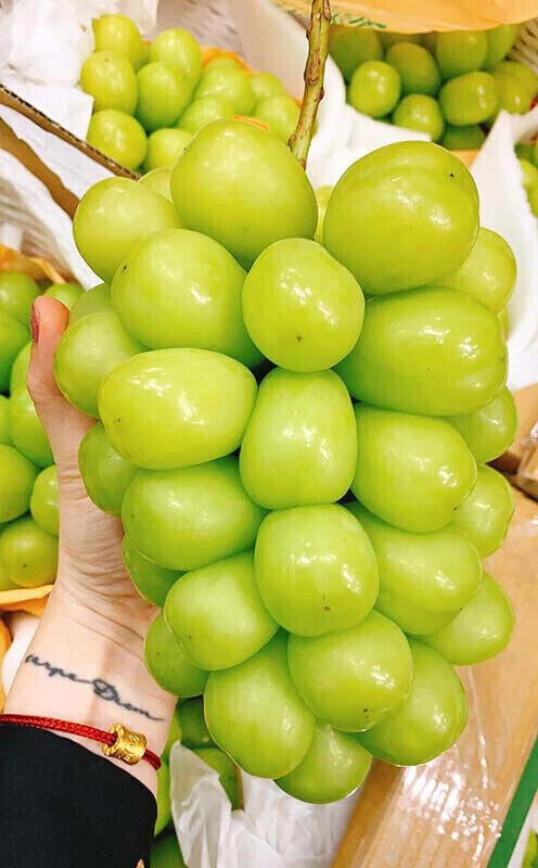 WHITE RAISIN GÉANT JAPONAIS - TRÈS PRÉCIEUX, 20 GRAINES + CADEAU GRATUIT