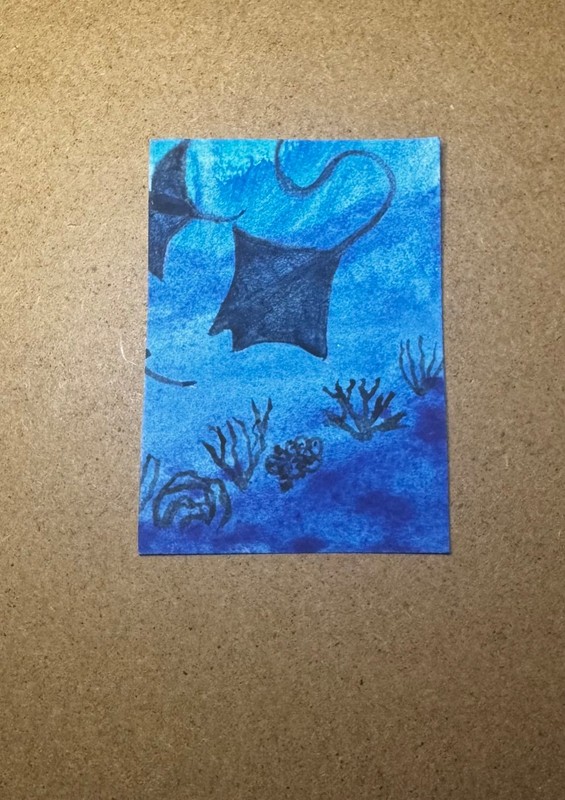 ACEO Signed Original Art Manta Rays Sting Rays Coral Ocean Water Swimming