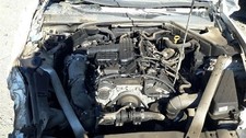 STINGER   2022 Engine 19026041