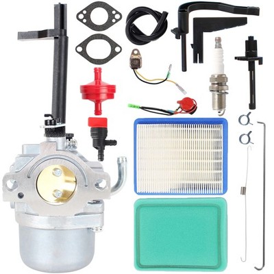 697978 01919 Carburetor for Troy-Bilt 030343 030476 5000 5550 Watt Generator... 