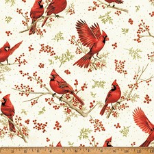 Cotton Berries and Birch Cardinals Branches W...