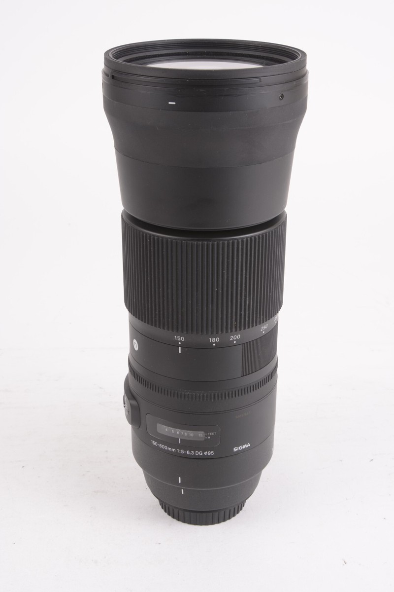 ACCURATE02Canon用SIGMA150-600mm f5-6.3 Sigma Cont. 150-600mm f/5-6.3 DG Telephoto Zoom Camera Lens