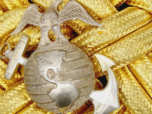 Segunda Guerra Mundial Segunda Guerra Mundial USMC Marine Corps EGA EG&A 1921-1948 Oficial Desorden Conjunto de nudos de hombro - Imagen 6 de 11
