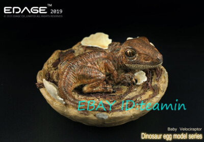 New EDAGE VelociRaptor Dinosaur Egg Brown Cute Statue Model Gift In Stock