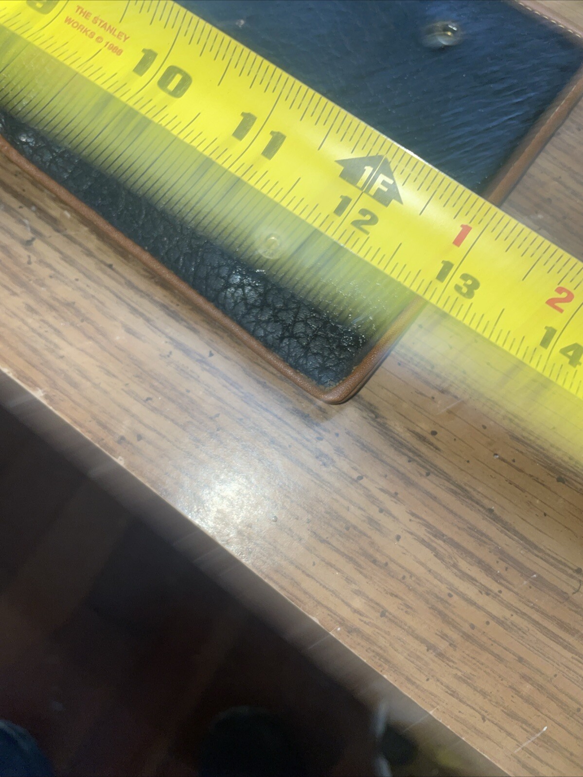 Picture 12 of 13