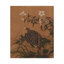 Zhao Boju - Quail and flowers - 18th century - Canvas Wall Art