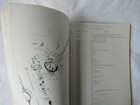 Picture 7 of 8