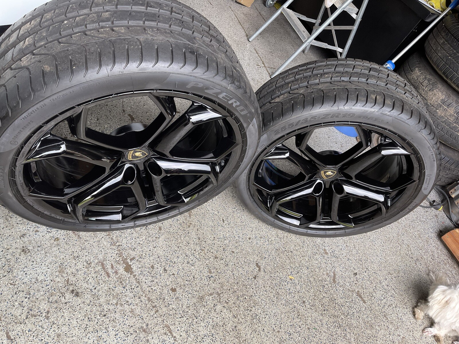 Aventador Lamborghini Wheels and Tires  Lamborghini Murcielago