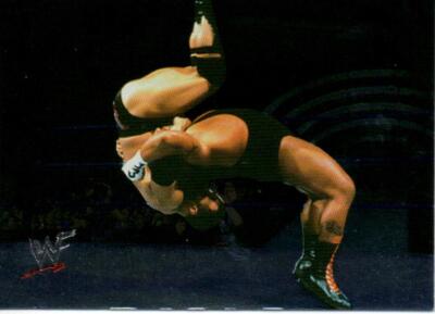 ECWプロレスカード TAZ タズ Tazz Taz Signed 2001 Fleer WWF Raw is War Card #22 WWE ECW