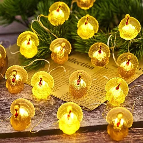 Thanksgiving Decorative Fairy Turkey String Lights Novelty Fall USB Powered