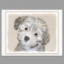 6 Havanese Puppy Dog Blank Art Note Greeting ...