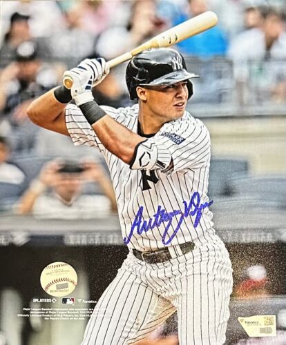 Foto firmada por Anthony Volpe autógrafo de los Yankees 8x10 - holograma de fanáticos - con licencia - Imagen 1 de 1