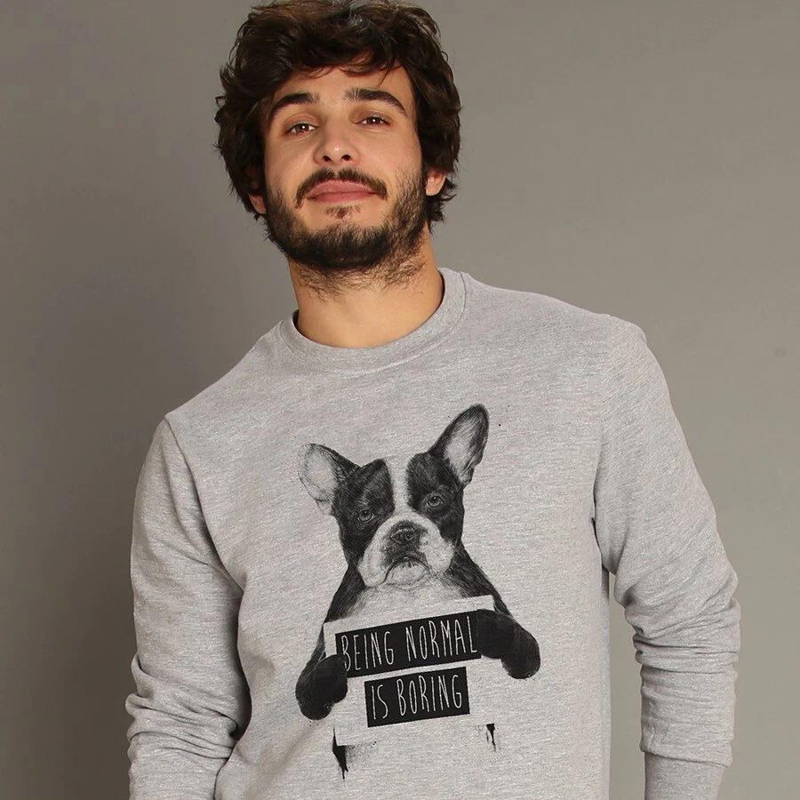 Sweatshirt homme personnalisé imprimé en France couleur gris - Photo 1/1
