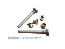 RENAULT 5 GT TURBO NEW TORX DOOR HINGE PINS INCLUDING STEEL INSERTS PAIR