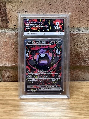 Pokémon Morpeko ex 117/084 2026 Pitch Black SIR Holo Ace 9