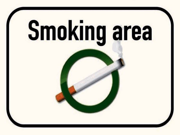 Holzschild 30X40 Cm Smoking Area Raucherraum Deko Geschenk Holz Schild-image