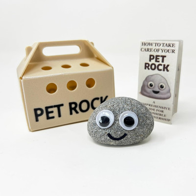 Pet Rock Neuheit Geschenk - Geburtstagsgeschenk, Partytütenfüller & Hochzeit Gastgeschenk