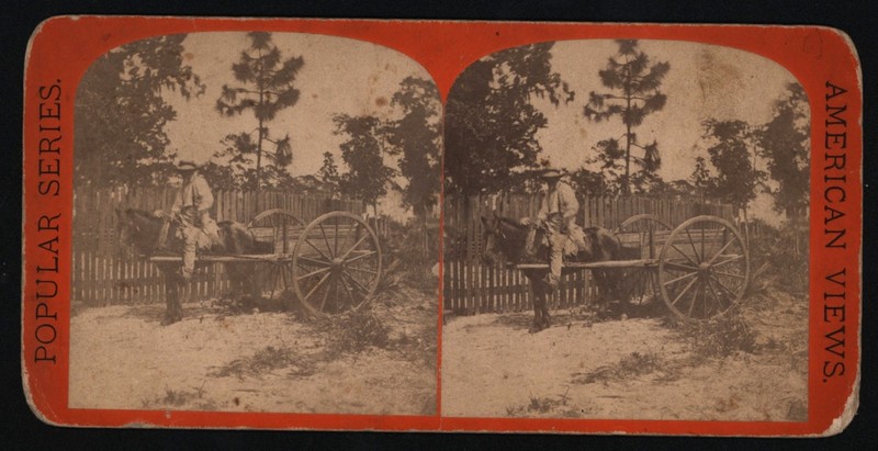22) Scene ~ Black Americana in Jacksonville, Fl in his Cracker Cart Anthony 9282