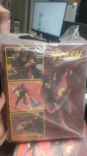 NEU DC COMICS THE FLASH ONE:12 6 Zoll Actionfigur Sammel Spielzeug Modell Box Geschenk - Bild 9 von 11