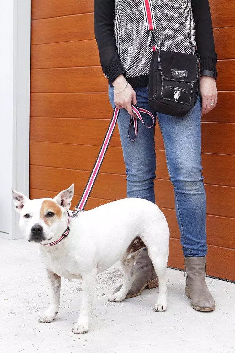Walkie dog cheap