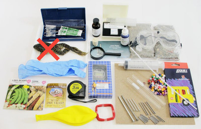 Home Science Tools R.E.A.L. Science Odyssey Biology 2 Lab Kit