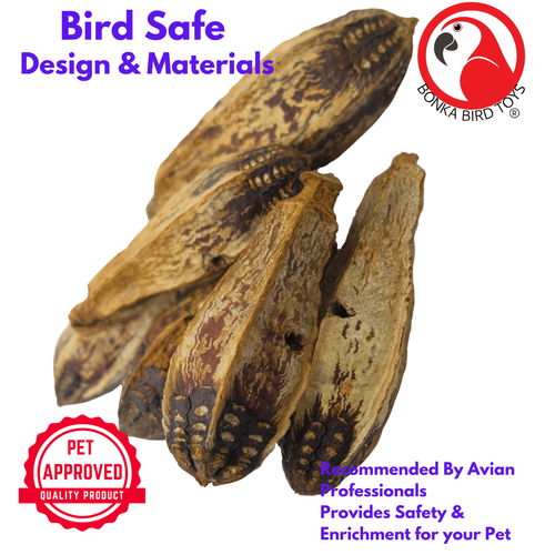 Bonka Bird Toys 3410 Pk6 Drilled Mahogany Pods Foot Talon Craft Part Parrot Toys - Picture 4 of 7