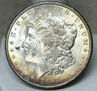 1887 Morgan Dollar - VAM-11 - Peripheral Toning - Very Lustrous