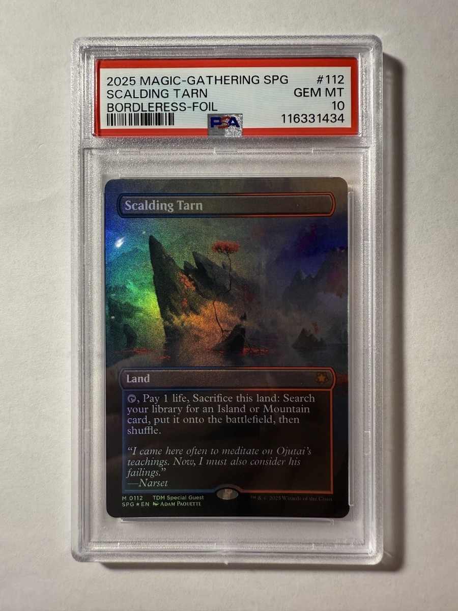 MTG foil ダク•フェイデン MED RNA Scalding Tarn (Borderless) Special Guests Foil for sale