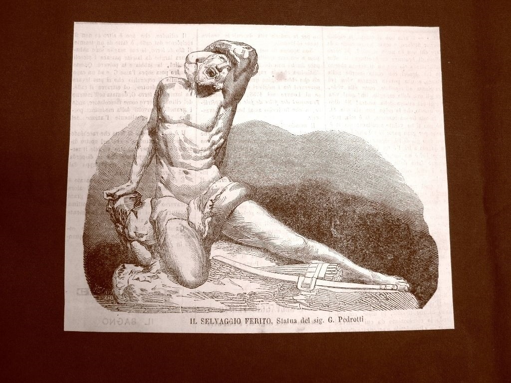 Picture 1 of 1