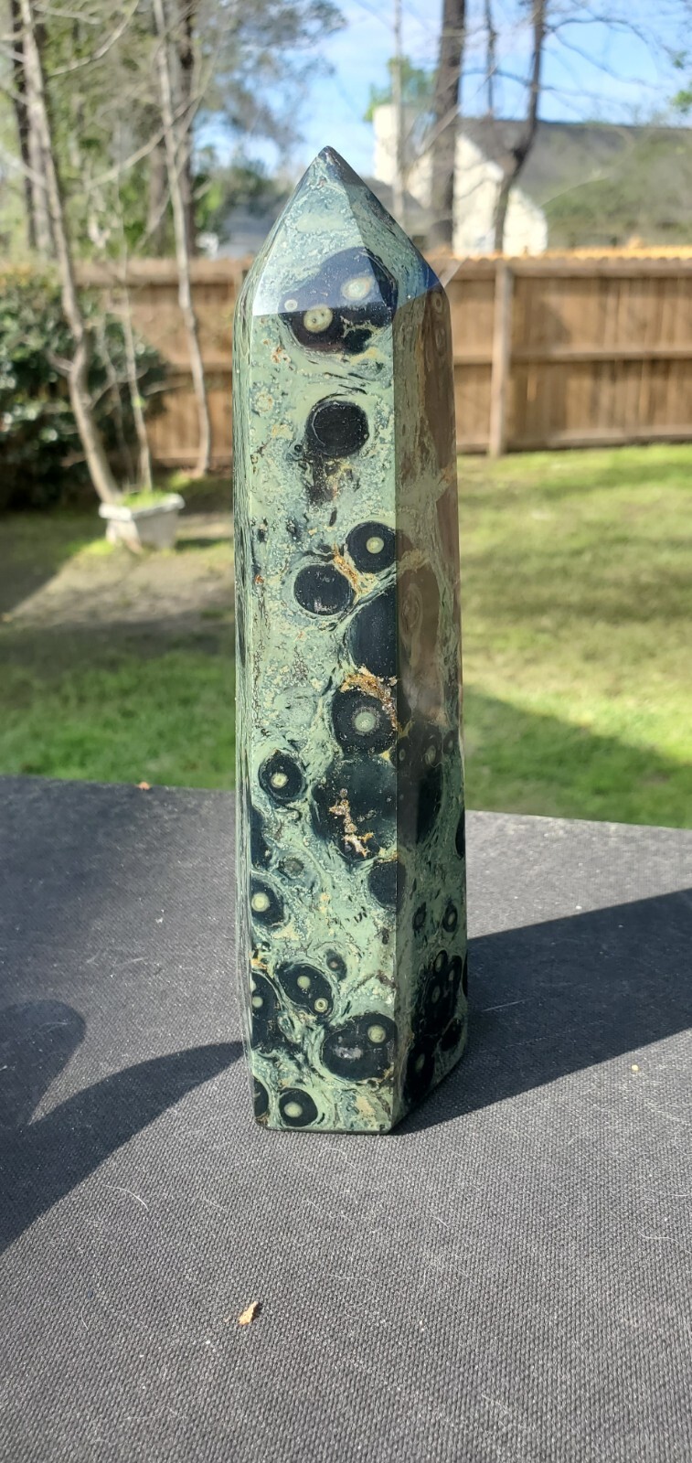 Kambaba Jasper 6 Sided Healing  Crystal 954g 8x2x2