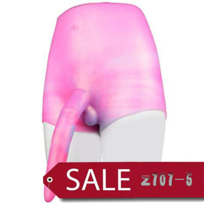 sex toy long distance 24cm Long Dildo Penis Pants Realistic Dildo Strap-on Transgender Pants Sex  Toys