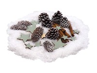Streudeko Weihnachten Zapfen Natur Sterne GrüN Kunstschnee Zimtstangen 200G