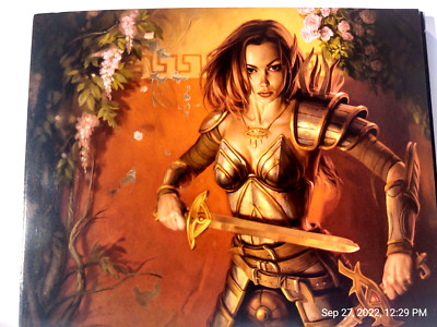 Dungeons & Dragons NEVERWINTER Nights Platinum Game and Manual complete PC   85a