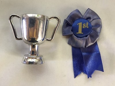 Our Generation Ribbon & Trophy from the Horse Show Jumper Set - 1990s Battat