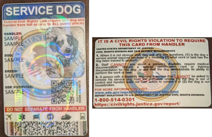 SERVICE DOG ID CARD HOLOGRAPHIC -  TWO SIDED CUSTOMIZABLE PHYSICAL & DIGITAL - Image 2 of 4