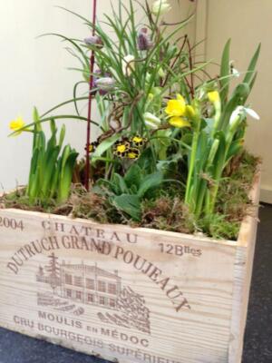 FLAT HALF SIZE GENUINE FRENCH WOODEN WINE CRATE BOX - HAMPER STORAGE TRAY SEED