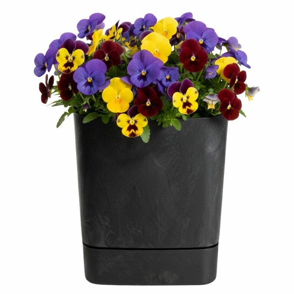 Howhomely BlumenküBel Blumentopf Pflanzentopf 25X25Cm Schwarz Betonmuster Deko-image