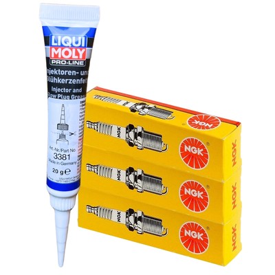 3x NGK Zündkerzen + LIQUI MOLY Fett für A1 A3 A4 B9 A5 Q2 Q3 ALHAMBRA ARONA