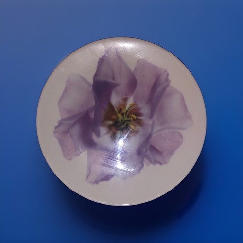 Wedgwood Bloomers púrpura Lisianthus y rosa 4 platos de ensalada hueso China Inglaterra - Imagen 3 de 5