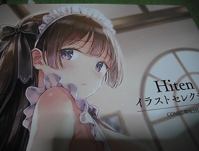 Hiten Illustration Selection Art Book Illustration Book Hiten Illustration Selection Art Book Illustration Book