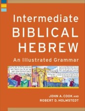 Intermediate Biblical Hebrew: An Illustrated Grammar Learning Biblical .. NEW