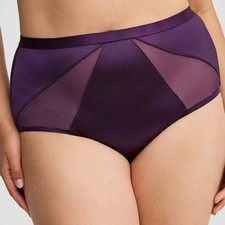 Torrid Panties 0X L Cheeky High-Rise Shine Microfiber Panty Purple Underwear New