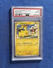 Pokemon Pikachu 2023 SV-P-JP Gym Event Campaign #120 PSA 8 NM-MT