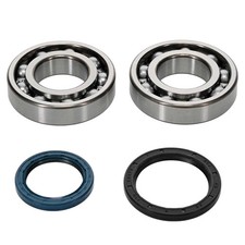 EngineWorx - Crank/Main Bearing & Seal Kit - Beta 4T RR350/400/450/498 (24-1123)