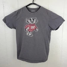 Wilson Wildcats Shirt Mens Large Gray Full Neck Short Sleeve Graphics Stretch