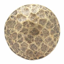 Hammered Screw Back Concho 1 5/8 Inch Antique Brass 7443-09