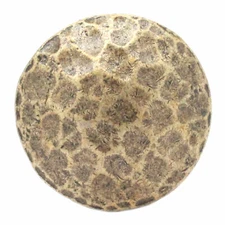 Hammered Screw Back Concho 1 5/8 Inch Antique Brass 7443-09