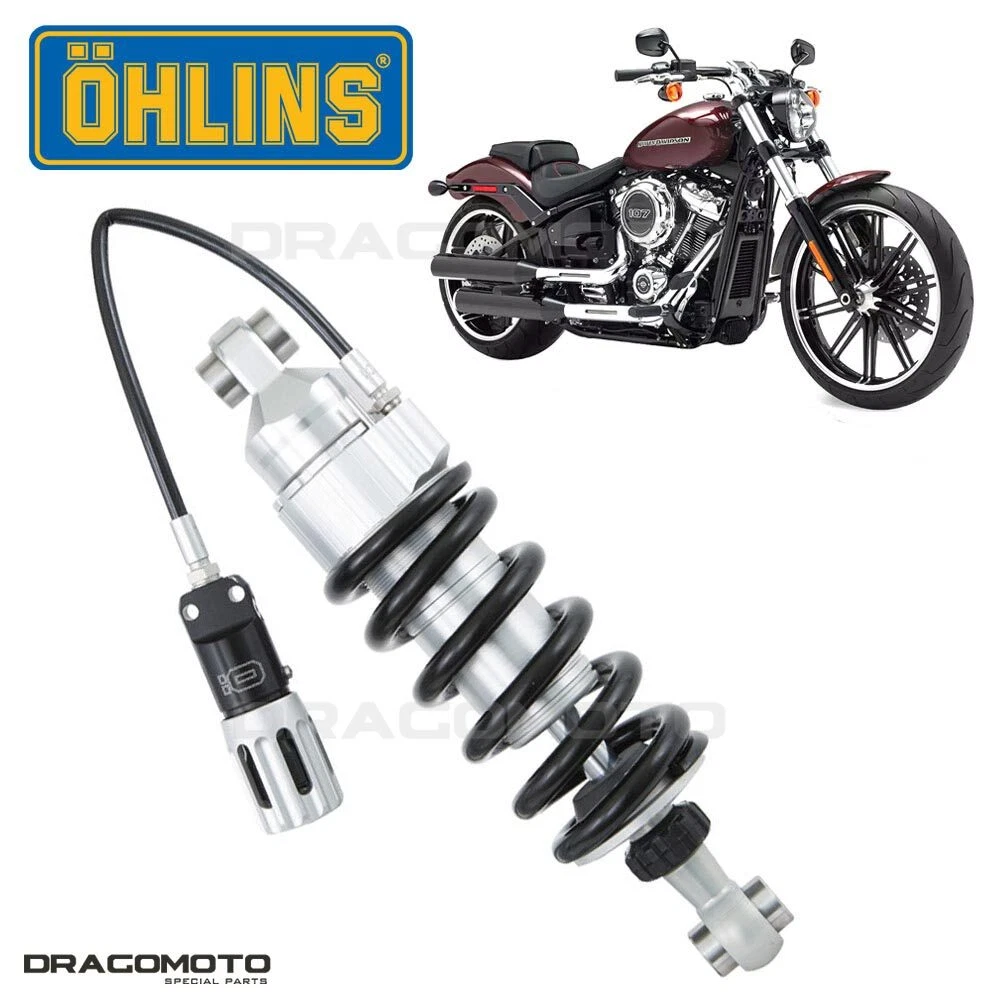 Harley davidson 2024 softail breakout 2021